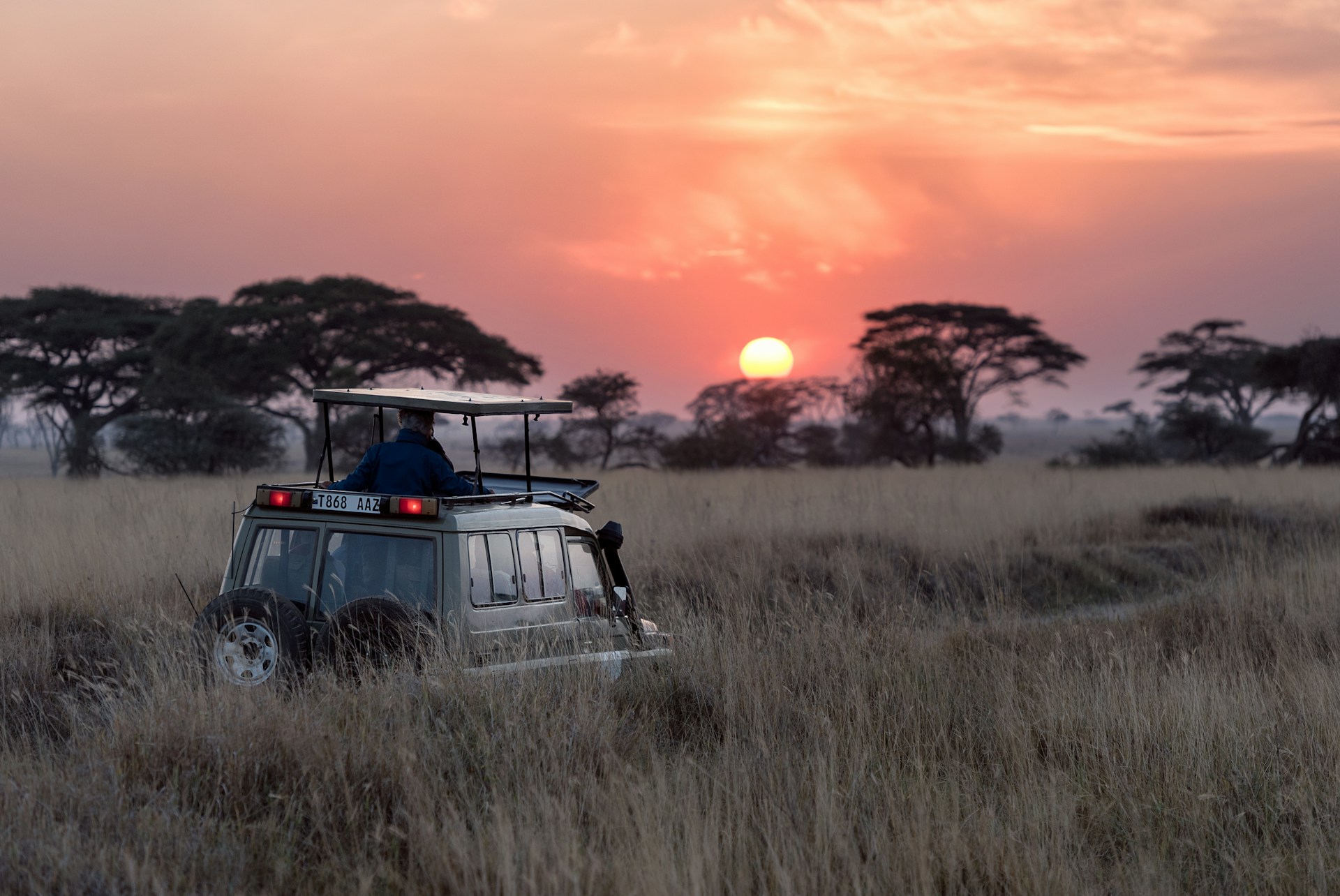Safari landscape