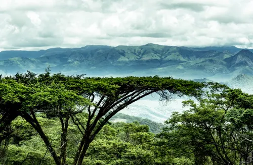 Vumba Mountains