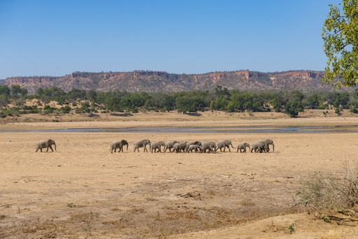 Gonarezhou National Park
