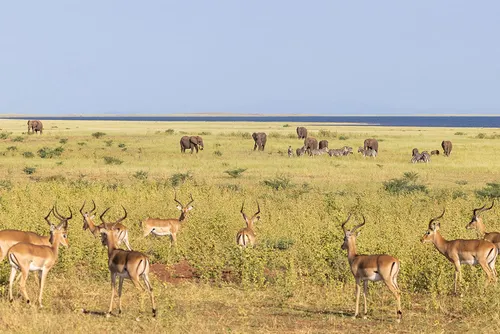 Matusadona National Park