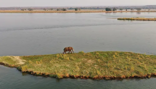 Zambezi National Park