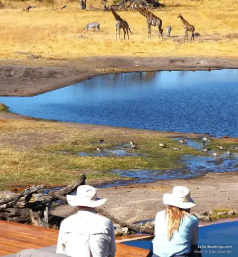 Hwange National Park
