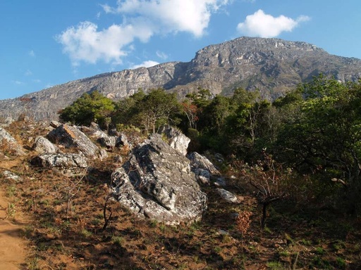 Eastern Highlands